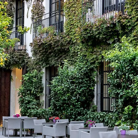 Hospes Palacio Del Bailio, A Member Of Design 5* Córdoba